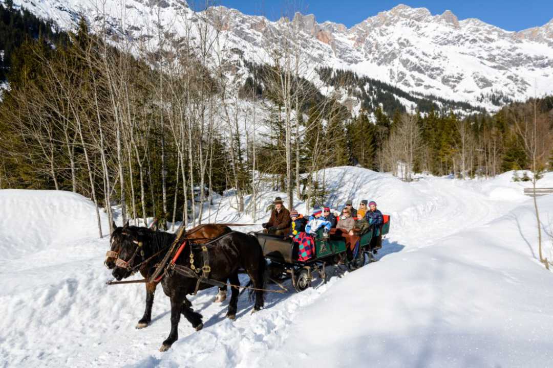 Highlight Pferdekutschenfahrt